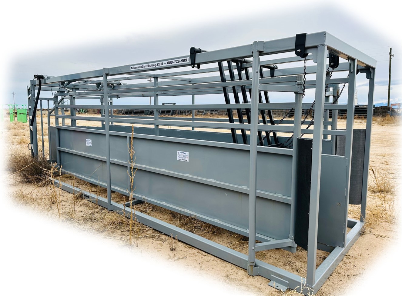 RR 19' Twin Alley for Cattle
